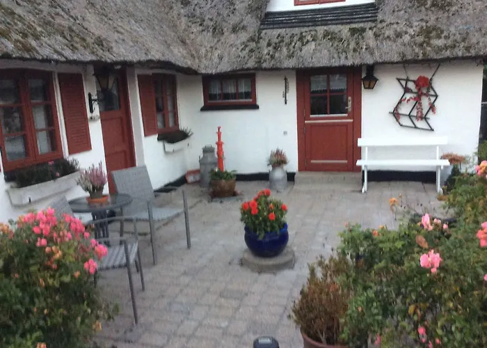 New Renovated *
